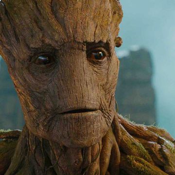 Groot
